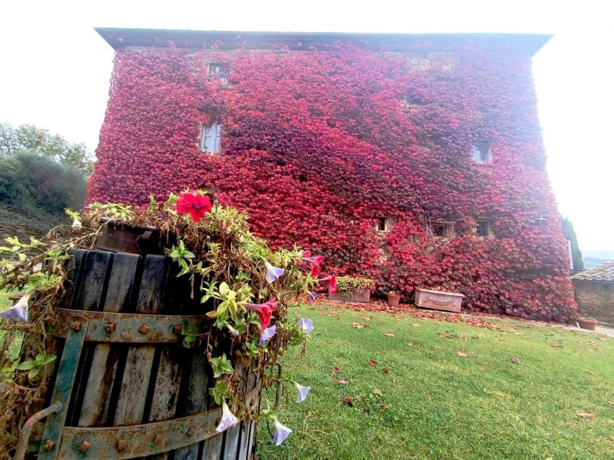 Locanda Di Santantimo Bed & Breakfast Chiassa Superiore Екстериор снимка